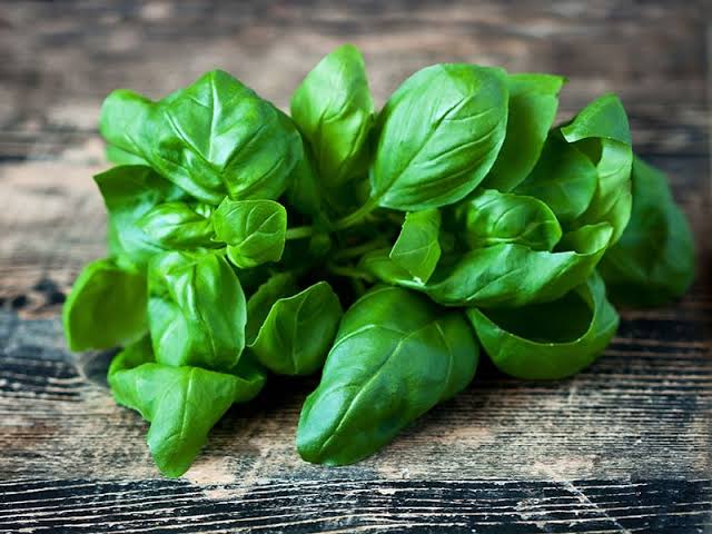 Substitute for Basil Leaves